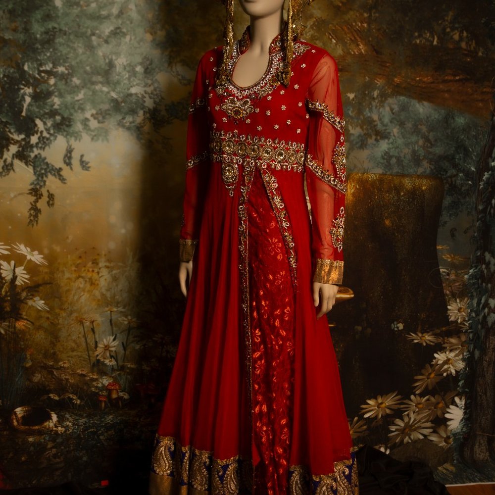 Hindi Indian south Asian wedding  fantasy red gold  dress encrusted with jewels - Picture 11 of 16